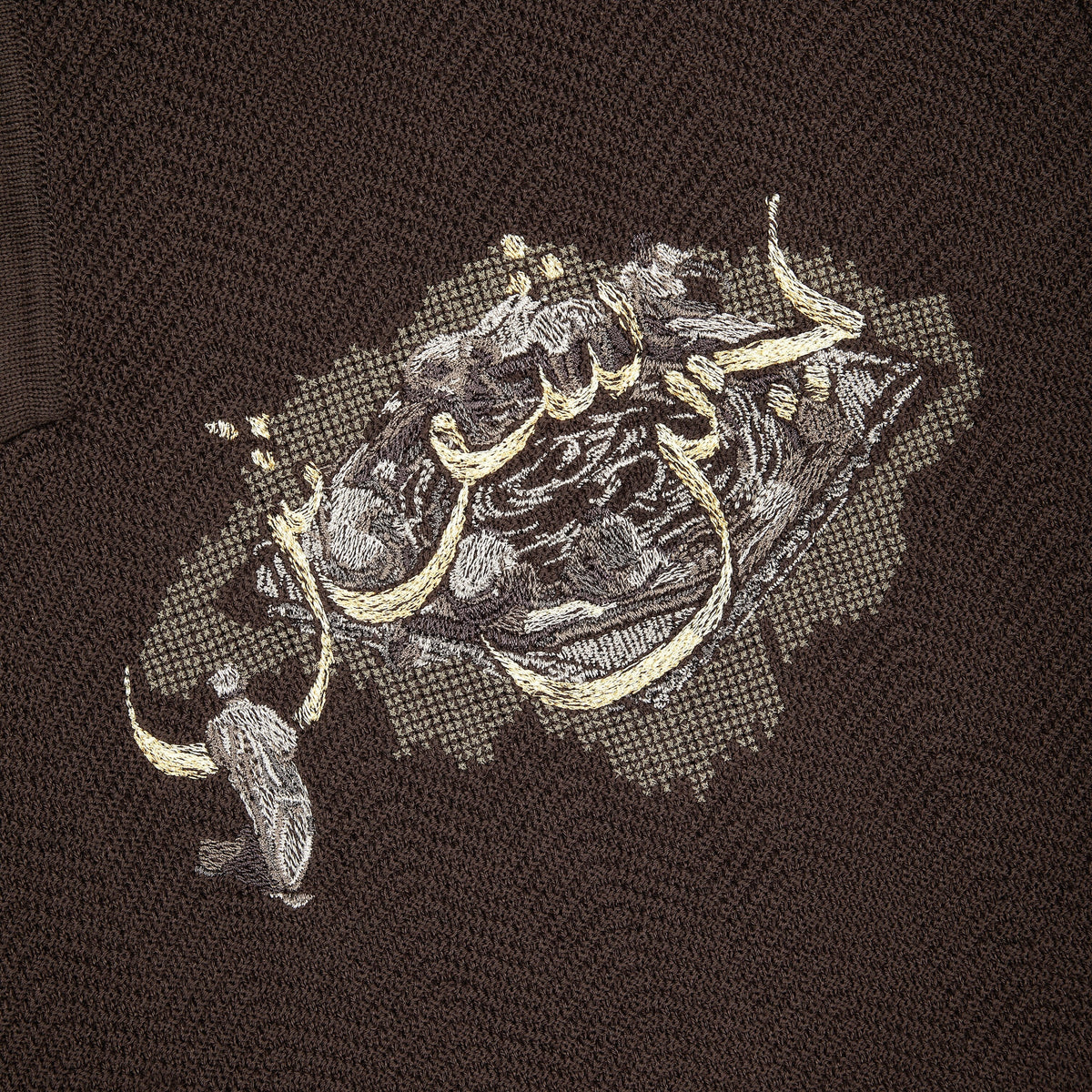 "aziza" polo Knit brown